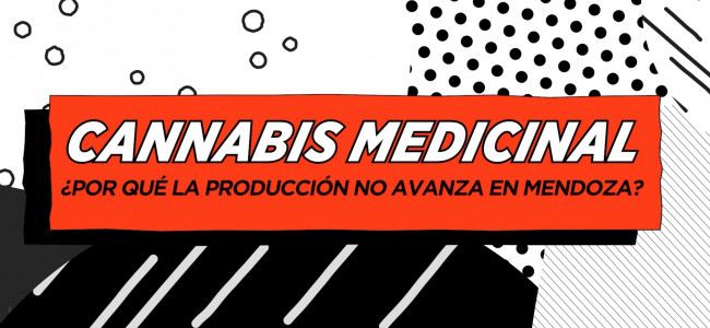 Cannabis medicinal: ¿por qué la producción no avanza en Mendoza?