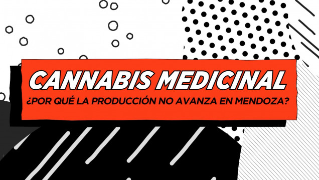 imagen Con voto unánime, avanza el proyecto de ley para el uso del cannabis medicinal