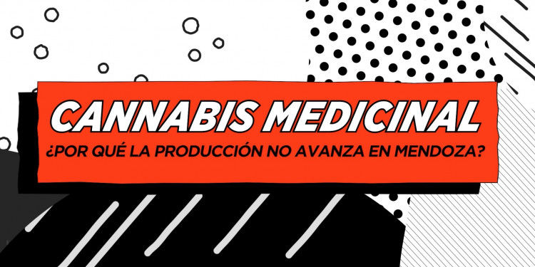 Cannabis medicinal: ¿por qué la producción no avanza en Mendoza?
