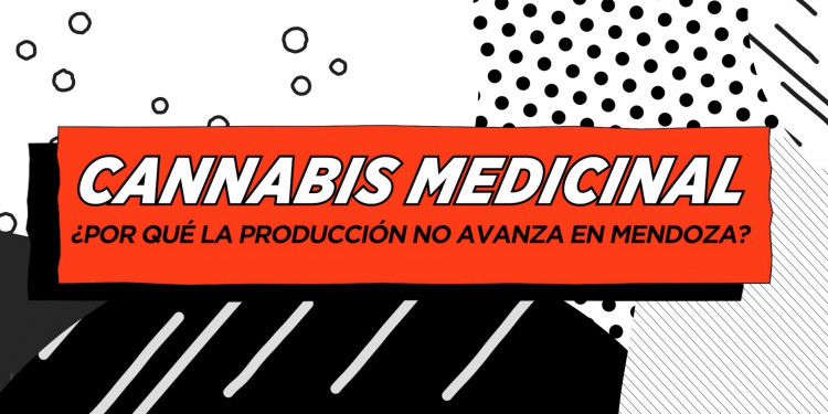 Con voto unánime, avanza el proyecto de ley para el uso del cannabis medicinal