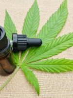 Florencia Canali tildó de "acotada" la sanción inicial que busca el uso del cannabis medicinal 