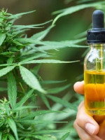En qué casos hay evidencia científica de los beneficios del cannabis medicinal