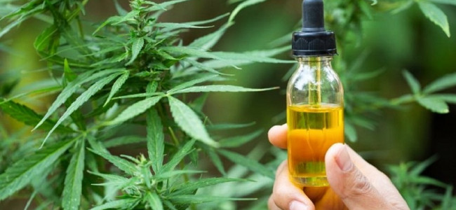 En qué casos hay evidencia científica de los beneficios del cannabis medicinal