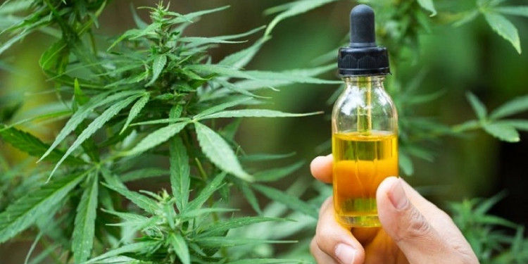En qué casos hay evidencia científica de los beneficios del cannabis medicinal