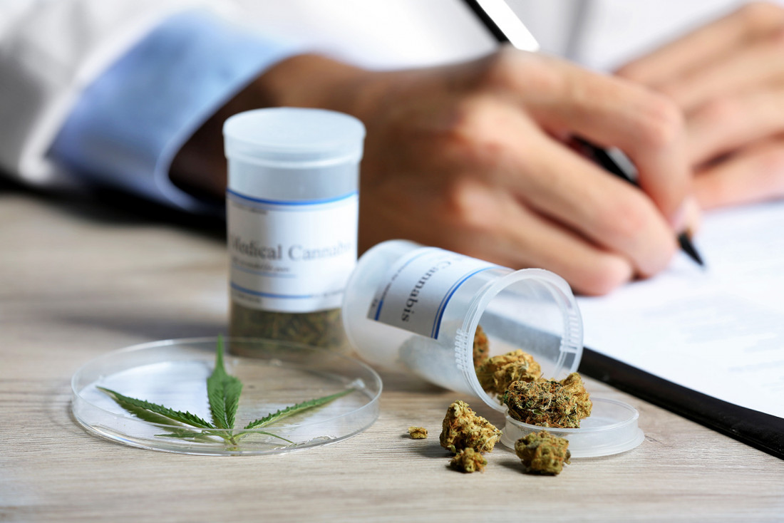 Empieza el debate por el cannabis medicinal en el Senado