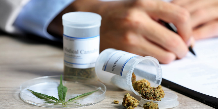 Empieza el debate por el cannabis medicinal en el Senado