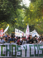 Mendoza se suma a la Marcha Nacional de la Marihuana y reclama "regulación urgente" 