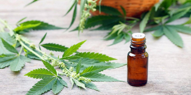 Autorizaron por primera vez el cultivo domiciliario de cannabis medicinal