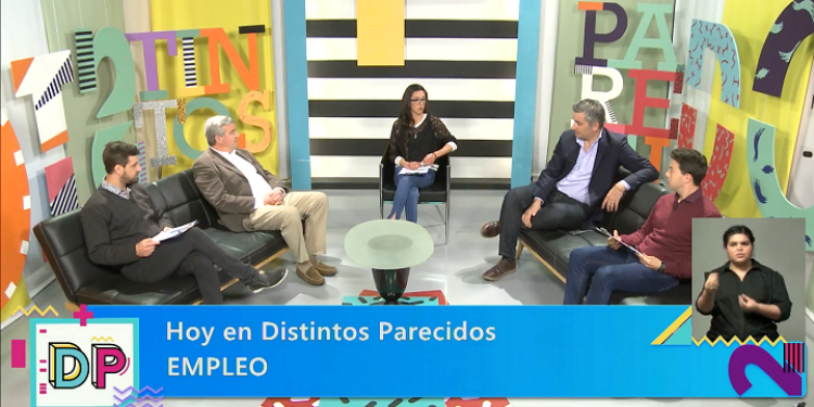 DISTINTOS PARECIDOS | TEMPORADA 2 | PROGRAMA 39: Empleo