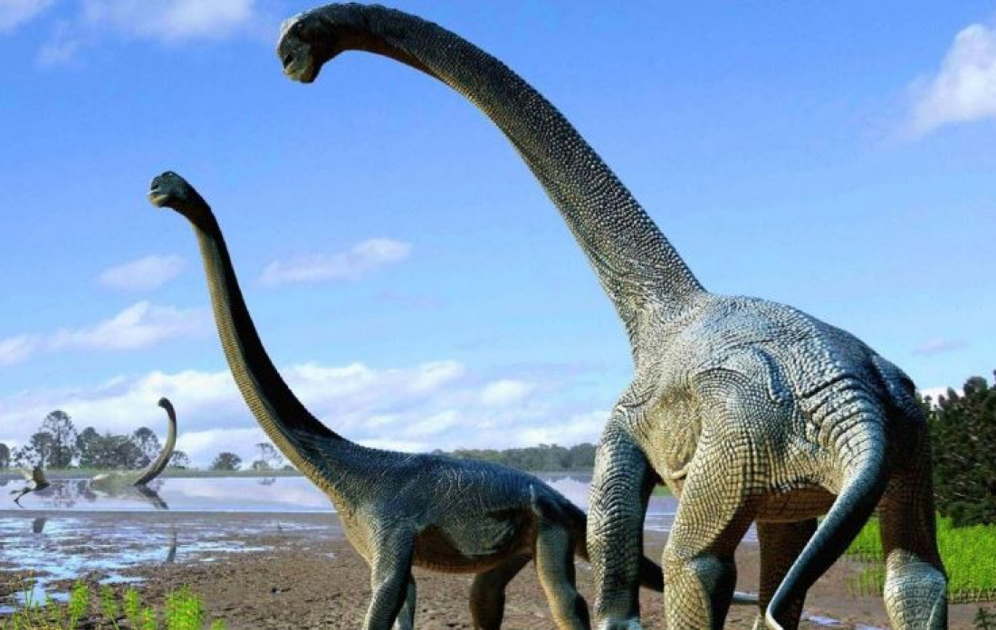 Encuentran huellas de dinosaurios de 66 millones de años de antigüedad en Jujuy