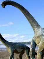Encuentran huellas de dinosaurios de 66 millones de años de antigüedad en Jujuy