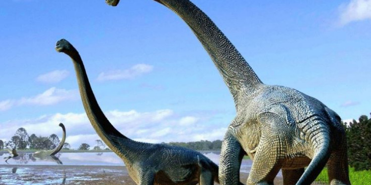 Encuentran huellas de dinosaurios de 66 millones de años de antigüedad en Jujuy