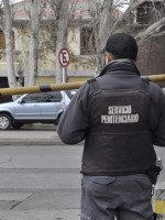 El árbol que tapa el bosque de la inseguridad