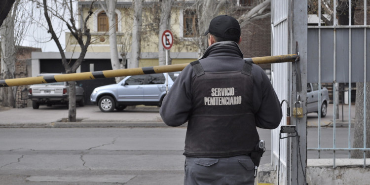 El árbol que tapa el bosque de la inseguridad