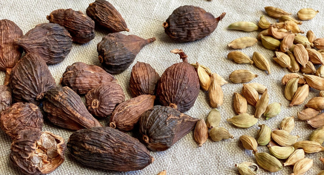 La ciencia investiga la medicina ayurveda: analizan el potencial del cardamomo negro contra el cáncer de pulmón 