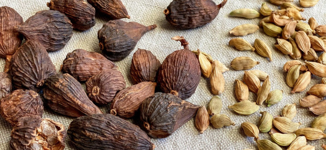 La ciencia investiga la medicina ayurveda: analizan el potencial del cardamomo negro contra el cáncer de pulmón 