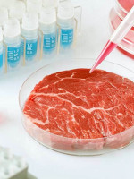 Proponen aumentar el consumo de carne artificial para reducir emisiones de CO2 y la deforestación