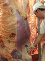 La Unión Europea levantará restricciones para la carne argentina