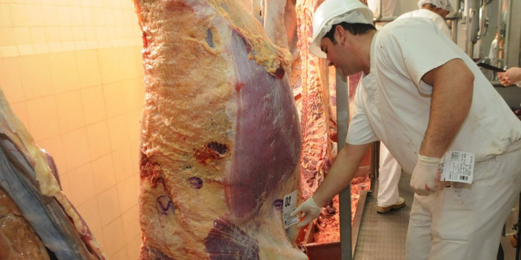 La Unión Europea levantará restricciones para la carne argentina