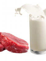 La carne y la leche