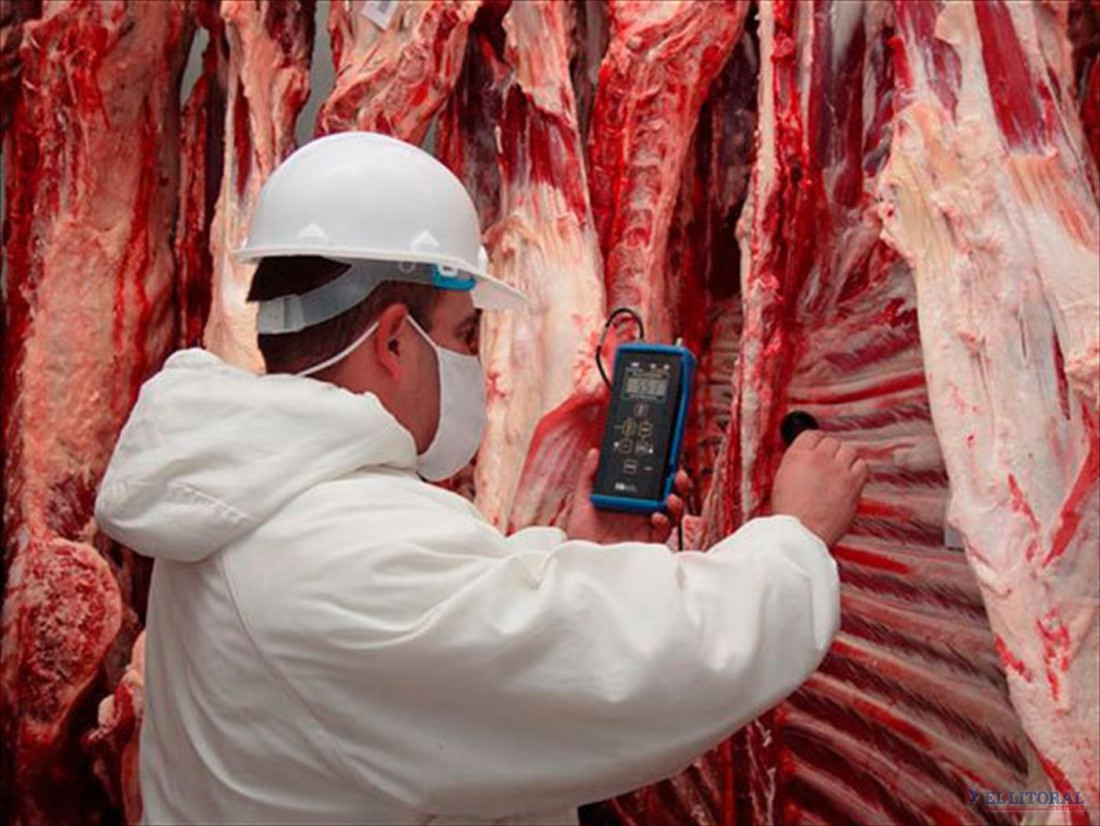 China habilitó a 28 plantas argentinas para exportar carne