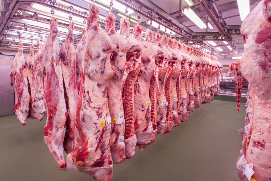 El aumento de la carne podría llegar al 8% en Mendoza