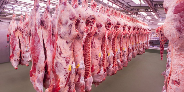 El aumento de la carne podría llegar al 8% en Mendoza