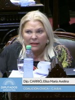 Videos: "¡Estoy harta del progresismo estúpido!", el exabrupto de Carrió