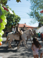 Todo el color del Carrusel en 15 fotos