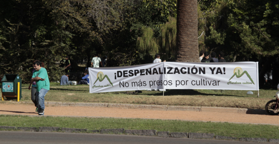 Una multitud se "plantó" por la despenalización del cultivo y consumo de marihuana