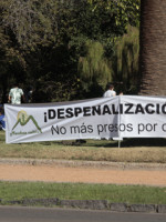 Una multitud se "plantó" por la despenalización del cultivo y consumo de marihuana