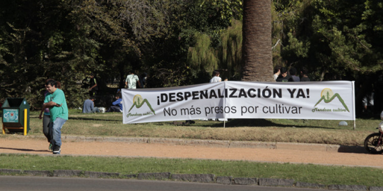 Una multitud se "plantó" por la despenalización del cultivo y consumo de marihuana