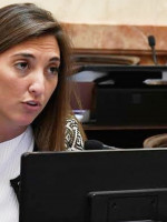 Aborto legal: la ausencia de una senadora que podría definir la suerte del proyecto