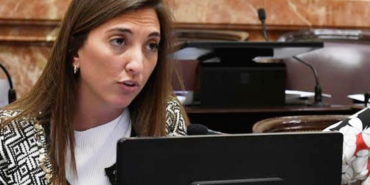 Aborto legal: la ausencia de una senadora que podría definir la suerte del proyecto