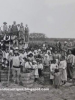 Origen y desarrollo de los festejos vendimiales