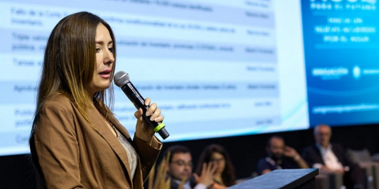 Ley de Glaciares: "Esta reforma no contribuye a la seguridad jurídica que requieren los inversores"