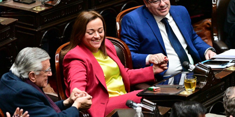 Cecilia Moreau, primera presidenta de la Cámara de Diputados: "Voy a administrar los disensos"