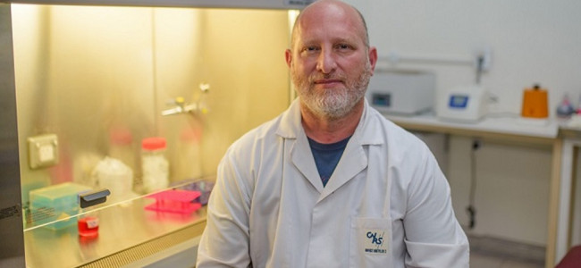 Células madre: una investigación de la UNCUYO avanza en la terapia regenerativa odontológica