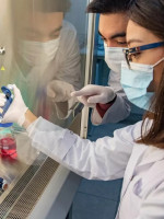 Una paciente se convirtió en la primera donante de células madre en Mendoza