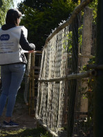 Censo 2022: el objetivo es llegar a 15 millones de viviendas y a más de 45 millones de personas