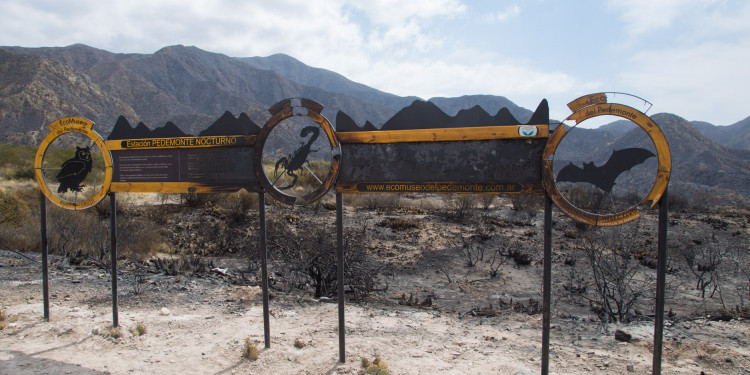 Así quedó el Cerro Arco después del incendio