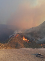 El Zonda propagó un incendio en el Cerro Arco y hubo miedo en barrios cercanos