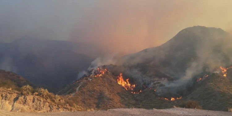 El Zonda propagó un incendio en el Cerro Arco y hubo miedo en barrios cercanos