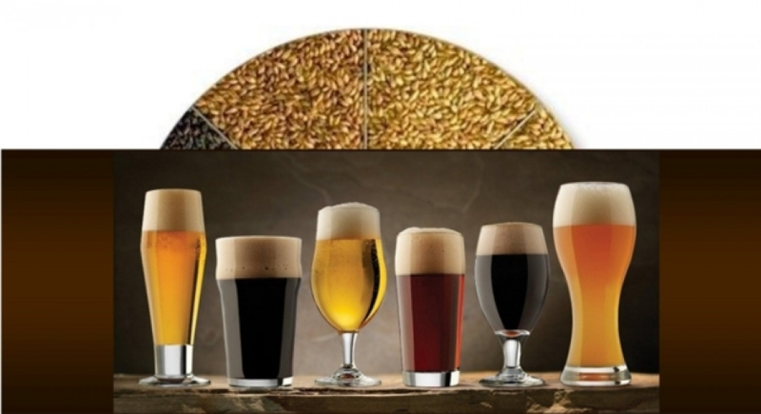 Curso y degustación de cerveza artesanal en Antares