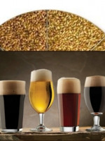 Curso y degustación de cerveza artesanal en Antares