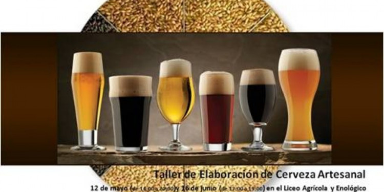 Curso para aprender a elaborar cerveza Artesanal