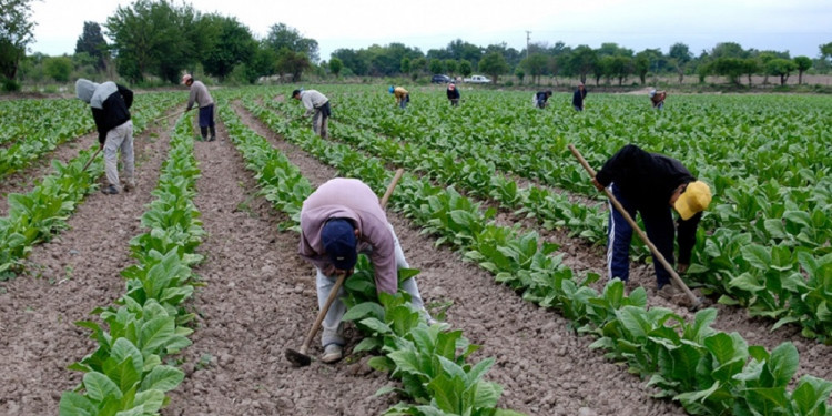 Impulso para la agricultura familiar, el sector que produce casi todo lo que consumimos