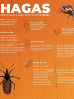 Un medicamento para la presión arterial será utilizado contra la enfermedad de Chagas