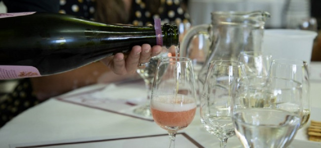 Cómo se hace el champagne y por qué la UNCUYO tiene uno de los ejemplares más ricos 