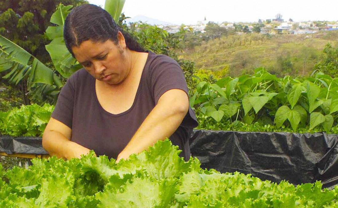 Trabajo decente por la igualdad